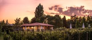a house in a field with a sunset in the background at Verde Oliva Casa de Huéspedes in Maipú +69 photos
