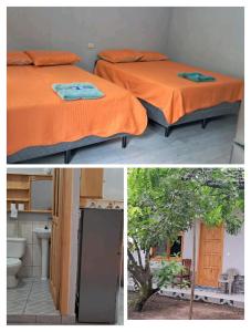 an orange bed and a tree in a room at Residencias Los Hasses in Santiago Atitlán