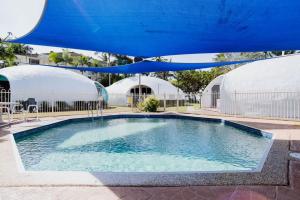 a large swimming pool under a blue umbrella at Binishell Igloo 6 - Famous Beachfront Dome with Pool in Trinity Beach