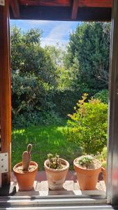 three potted plants sitting on a window sill at Cielo de Tierra in Coronel Suárez