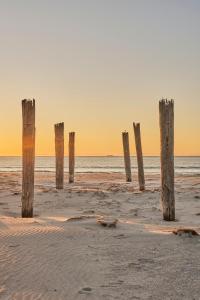 a row of posts in the sand on a beach at Shepherd's Cottage at Lisdillon Estate in Little Swanport