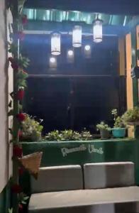 ein Fenster mit Topfpflanzen auf einem Tisch in der Unterkunft Rinconcito verde in Constanza