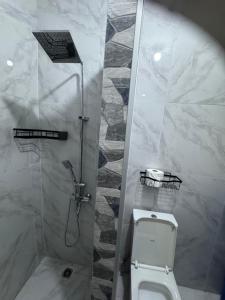 a bathroom with a white toilet and a shower at Raqsea House in Monrovia +11 photos