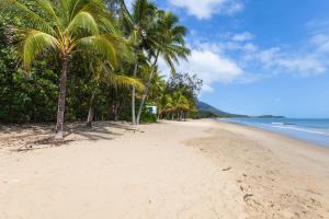 a beach with palm trees and the ocean at Tropical Pool Sanctuary in Kewarra Beach, Family and Dog Friendly in Kewarra Beach