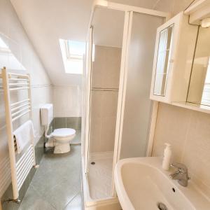 a bathroom with a shower and a sink and a toilet at Apartments Izabela Mužić-Fornarić Cres in Cres