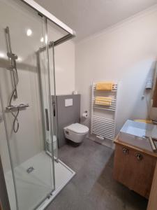 a bathroom with a shower and a toilet and a sink at Bauernhof Pension Juri in Obergösel +37 photos