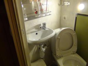 a small bathroom with a toilet and a sink at Narva-Jõesuu Apartment in Narva-Jõesuu
