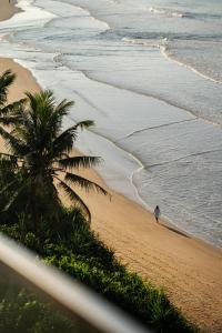 a person walking on a beach with a palm tree at Southbeach Weligama in Weligama