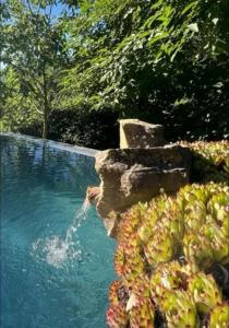 a pool of water with a pile of fruit next to it at Borgo Spescia Pool Park and Relaxation in Camposonaldo