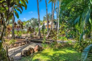 a resort with palm trees and a house at Wallaby Beach House - Resort-style Comforts in Trinity Beach +20 photos