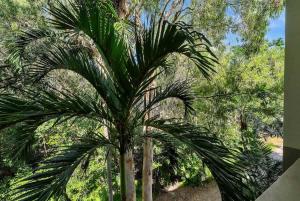 Gallery image of Violet Studio - Seaside Nook with Resort Pools and Spa in Palm Cove +17 photos