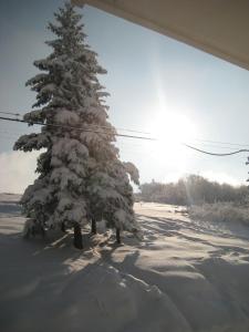 Albergo Casa Della Neve v zimě