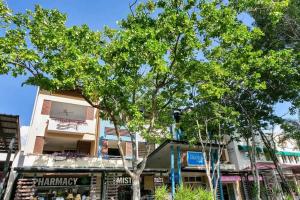 a tree in front of a building with a basketball hoop at Escape for Two - A Boutique Tropical Treasure in Port Douglas