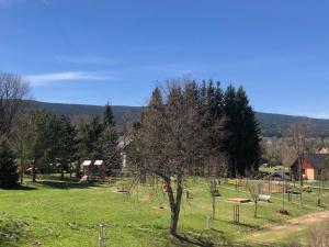 a park with a tree and a playground at Aparmán Na Divoké Orlici in Orlické Záhoří 