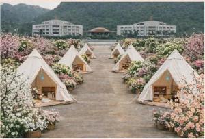 a row of tents in a field of flowers at Nhà nghỉ My Home in Mộc Châu