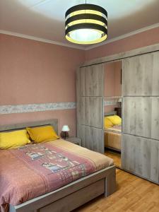 a bedroom with a large bed and a mirror at Entre Loire et Zoo Chambres d hôtes in Meusnes +13 photos
