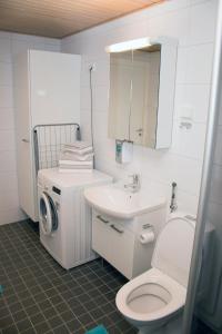 a bathroom with a toilet sink and a washing machine at Kotimaailma Center 1 in Lahti +12 photos
