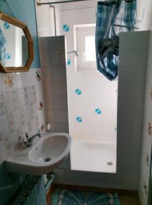 a small bathroom with a sink and a shower at Maisonnette de village in Mosnes +11 photos