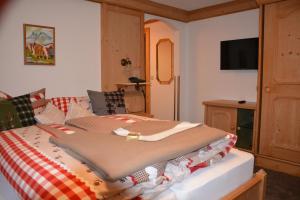 TV a/nebo společenská místnost v ubytování Hotel Gasthaus Schwarzenstein