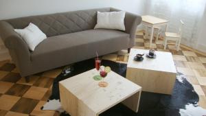 a living room with a couch and two tables at B&B Laupenring, Basel in Basel