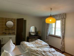 a bedroom with a bed and a window and a mirror at Pedecosta in Poschiavo