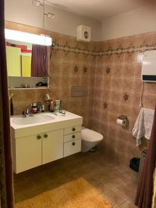 a bathroom with a sink and a toilet and a mirror at Pedecosta in Poschiavo +14 photos