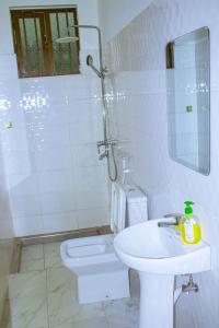 a bathroom with a toilet and a sink and a mirror at Chama Haven Appartments in Tengeru +19 photos