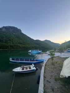 a group of boats are docked on a river at Guest House Besi in Fierzë