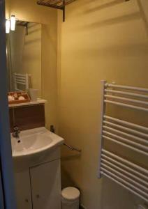 a bathroom with a sink and a toilet and a mirror at Maison au calme 2 chambres centre de Caen in Caen +9 photos