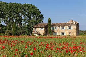 a field of red poppies in front of a house at Mastignac Chambre d'hôte in Valréas