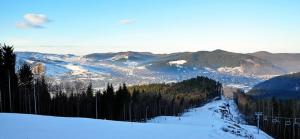 a view of a snowy mountain with trees and mountains at Emilia's Dreamhouse in Gura Humorului