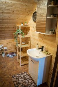 a bathroom with a sink in a wooden room at Lake House Villa pas Eugenija in Migiškiai +37 photos