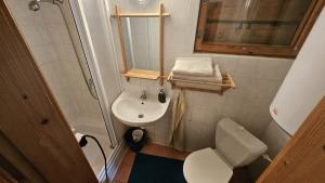 a small bathroom with a toilet and a sink at Chata Bambi, Tatranská Štrba pri zubačke in Štrba