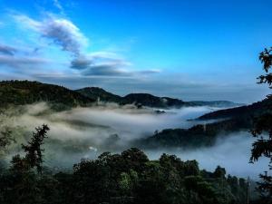 Foto dalla galleria di Bliss Bed and Breakfast a Yuchi