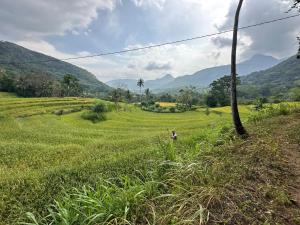 a field of green grass with mountains in the background at Kenath Paddy Cabin in Bopana