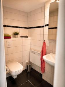 a bathroom with a toilet and a sink at Ferienhaus Pfefferminzhütte in Mildenau +8 photos