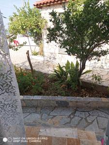 a stone walkway with a tree in front of a house at Ionian Sunset Drymades in Gjilek