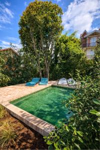 a swimming pool with two blue chairs in a yard at Les Villas de la Ville d'Hiver Palissy et Velleda in Arcachon