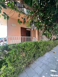a green hedge in front of a building at Camera Ficus in San Teodoro