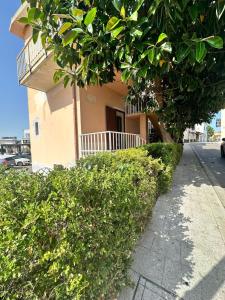 a building with a bunch of green bushes next to a sidewalk at Camera Ficus in San Teodoro