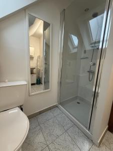 a bathroom with a shower and a toilet at chalet du mouflon au bec aigle in Le Lioran +30 photos