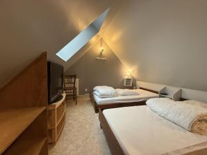 a room with two beds and a television in a room at chalet du mouflon au bec aigle in Le Lioran