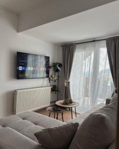 a living room with a couch and a large window at Apartmani Tara House in Milekići