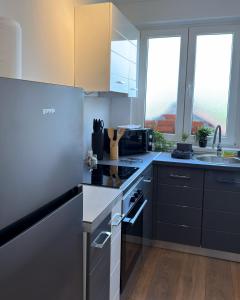 a kitchen with black and white appliances and windows at Apartmani Tara House in Milekići +5 photos