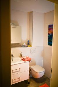 a bathroom with a white toilet and a sink at Mainresidenz Wertheim in Wertheim