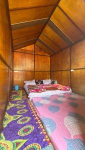 two beds in a room with wooden walls at Himalayan Wooden Cottage camping & Cafe Dalhousie in Dalhousie