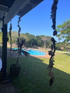 a swing in front of a swimming pool at Eight Umdoni North in Pennington