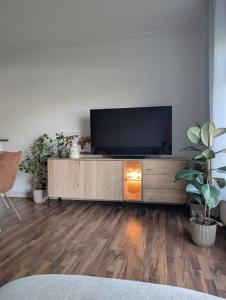 a living room with a flat screen tv on a entertainment center at Appartement Bongerdstraat in Nijmegen +1 photo
