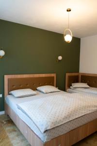 Zwei Betten in einem Schlafzimmer mit grüner Wand in der Unterkunft Twin2 in Văliug