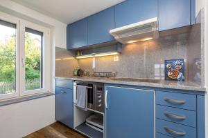 a kitchen with blue cabinets and a stove top oven at Charming Swiss Lake View studio apartment in Wädenswil